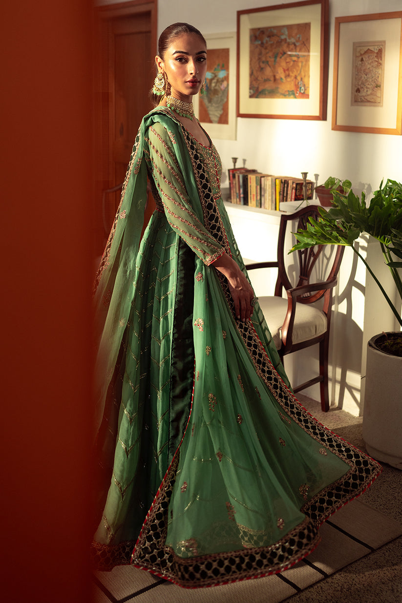 Neeshay | Dastaan Luxury Chiffon | Noreen - Wedding Dress - Maria Faisal