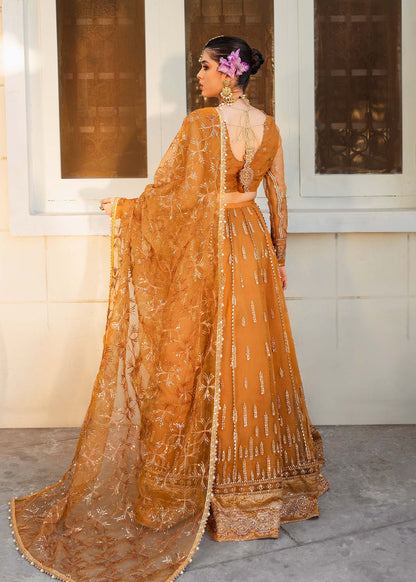 Shurooq | Zara Edit 24 | Dhoop Kinaray - Ladies Clothes 