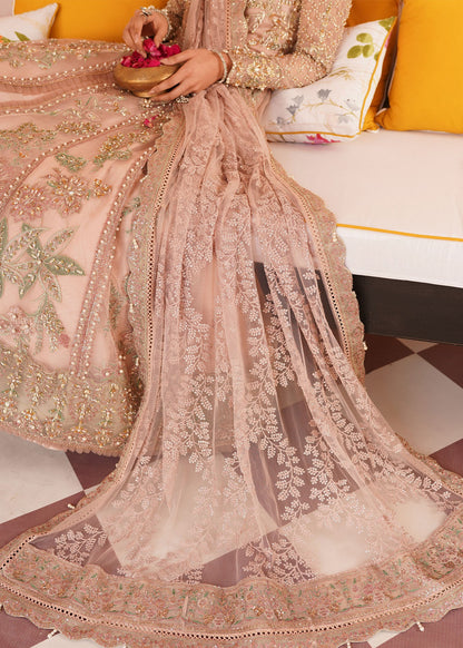 Mehak Yaqoob | Serene Vol 3 | Salmon Pink - Wedding Dress 