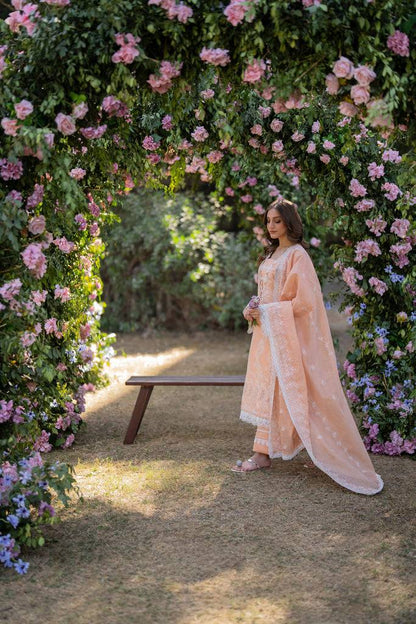 Florent | Chikankari Eid 25 | FLC-1B by Maria Faisal - Registered Vendor of : Florent - type : Ladies Clothes - 100% original wedding dresses