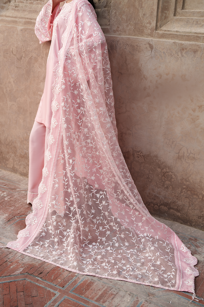 Saad Shaikh | Zaria Festive Pret 25 | BLUSH - Formal Dress - available at Maria Faisal in UK and USA.