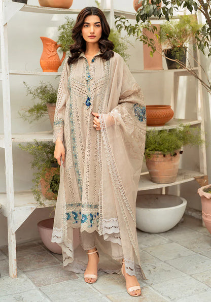 Zarqash | Belle Ame 24 | BL 010 Gris - Ladies Clothes - Maria Faisal