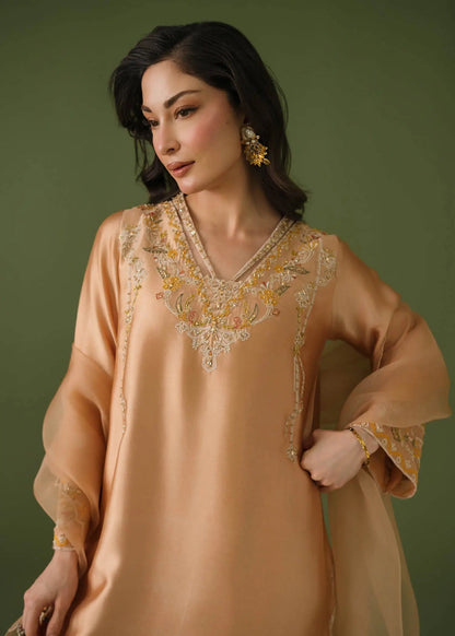 Jeem | Celestial Luxe Formals | CORAL MUSE - Formal Dress - available at Maria Faisal in UK and USA.