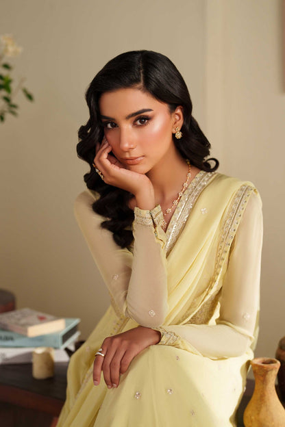 Akbar Aslam | Formal Pret | Ayla - Formal Dress - available at Maria Faisal in UK and USA.