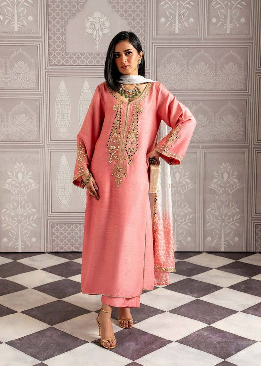 Mahgul | Echoes of Elara | Raha by Maria Faisal - Registered Vendor of : Mahgul - type : Ladies Clothes - 100% original wedding dresses