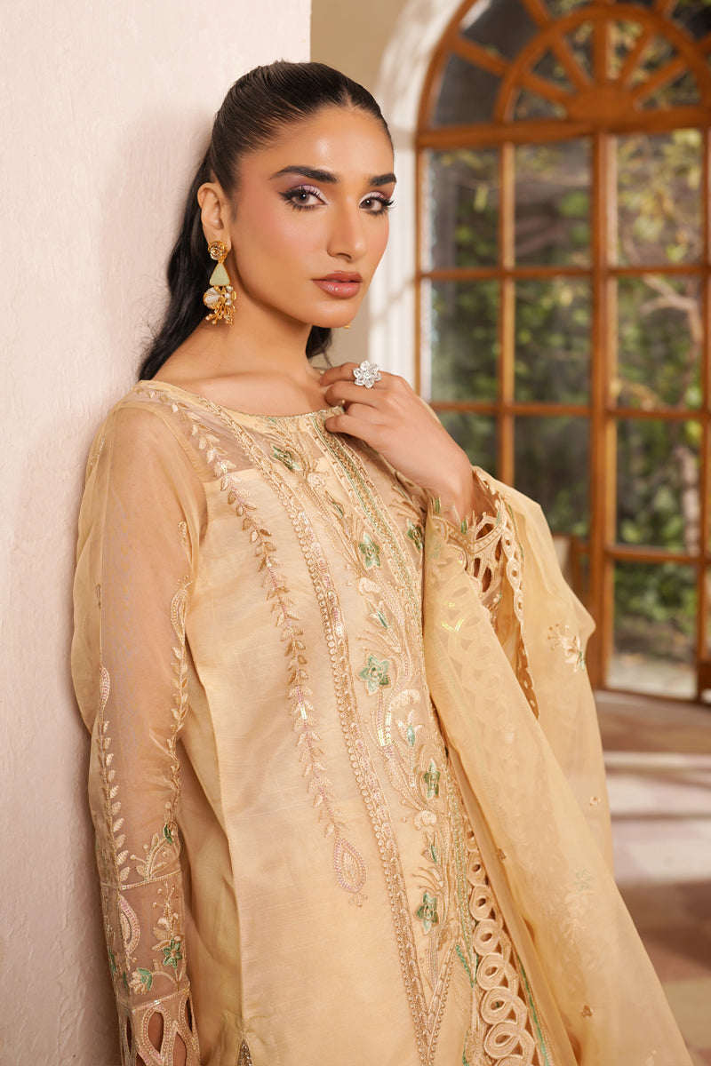 Maryams | Noir Luxe | Hazel-NOR-0007 - Formal Dress - available at Maria Faisal in UK and USA.