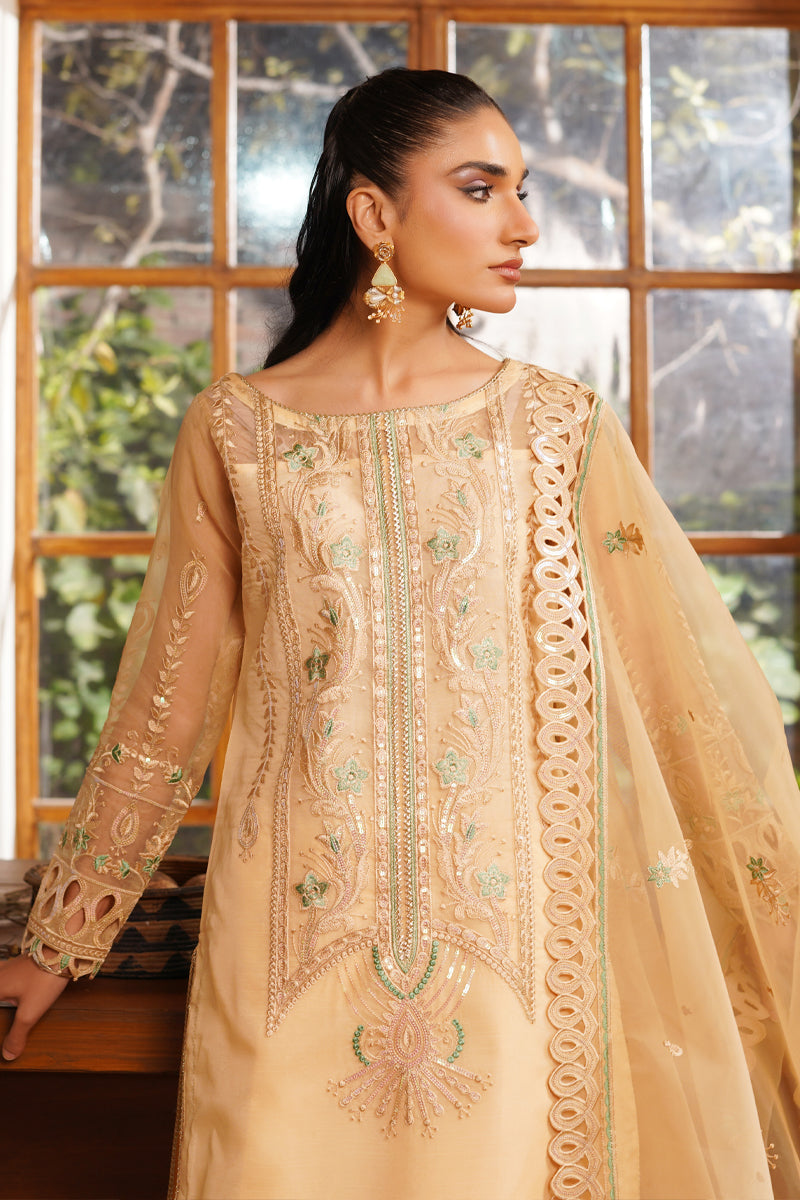 Maryams | Noir Luxe | Hazel-NOR-0007 - Formal Dress - available at Maria Faisal in UK and USA.