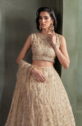 Zarif | Heritage Formals | ZHF 01 AVELINA - Designer Dress with Intricate embroidery and embellishments. Shop elegent wedding dress at Maria Faisal.
