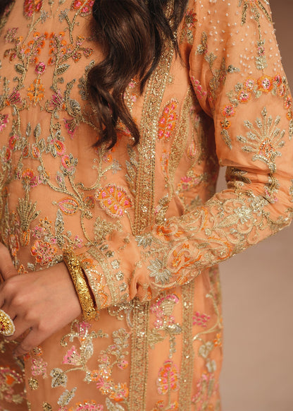 Ali Xeeshan | Prime Time | Rubab - Luxury Dress - available at Maria Faisal in UK and USA.