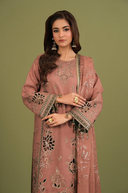 Alizeh | Luxe Raw Silk | AF-RS-12-Vesper - Formal Dress - available at Maria Faisal in UK and USA.