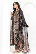 Ramsha | Minhal Organza Collection | M-803 - Waniyas