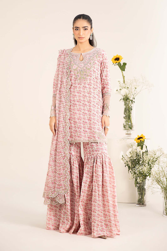 Maira B | Ready to Wear | DW-EF25-50 by Maria Faisal - Registered Vendor of : Maria B - type : Wedding Dress - 100% original wedding dresses