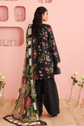 Maria B | Luxury Winter Pret 25 | DW-PF25-06-Black - Ladies Clothes - Maria Faisal