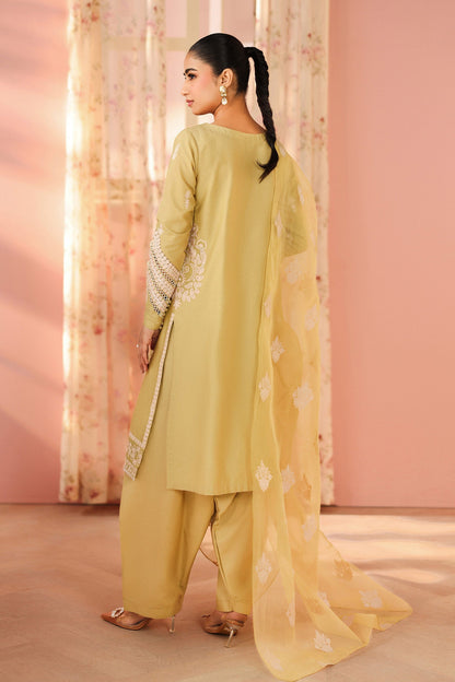 Maria B | Luxury Winter Pret 25 | DW-PF25-34-Light Green - Ladies Clothes - Maria Faisal