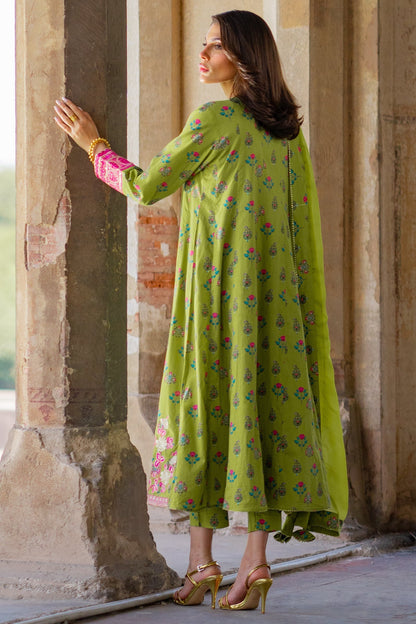 Ego | Diva Premium | ANMOL 3 PIECE - Ladies Clothes - Maria Faisal