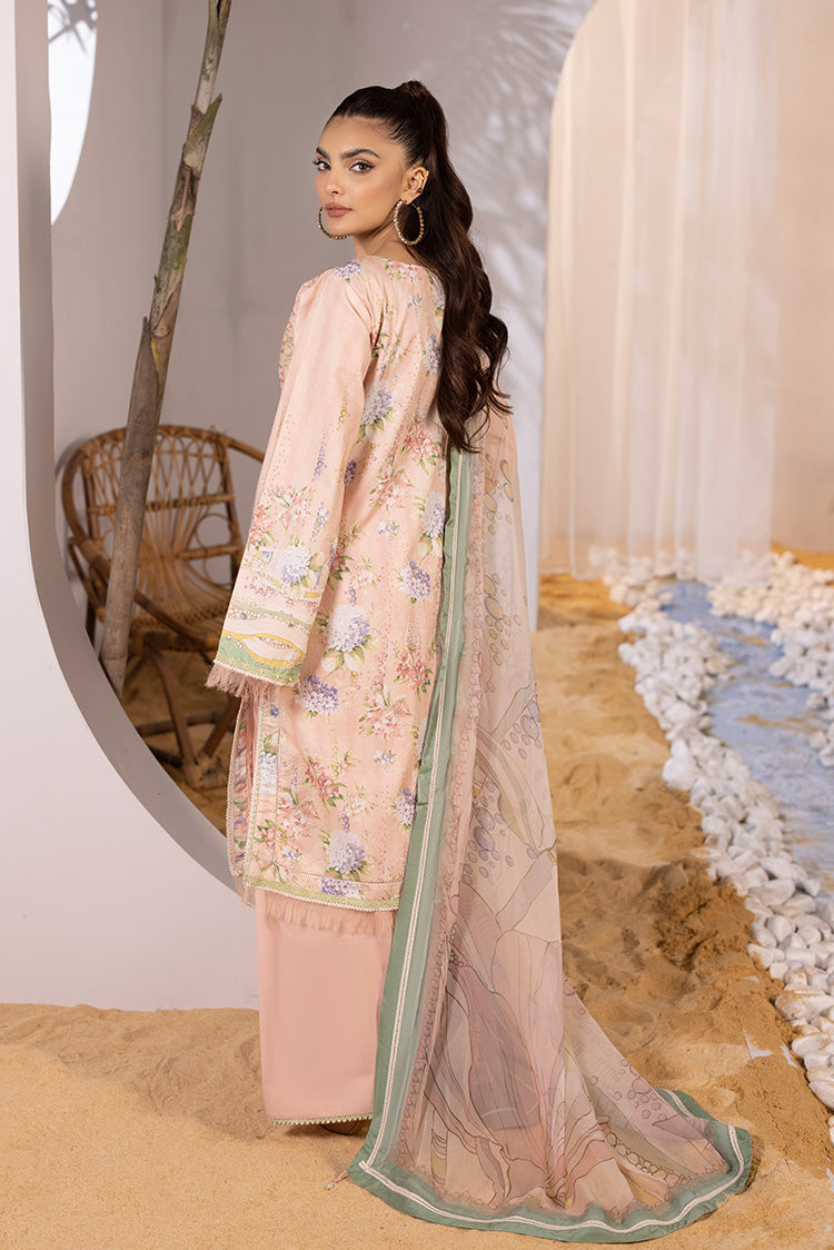 Ellena | Luxury Embroidered Collection| P-01 - Waniyas