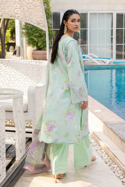 Ellena | Signature Embroidered Collection 25 | A-08 by Maria Faisal - Registered Vendor of : Ellena - type : Ladies Clothes - 100% original wedding dresses