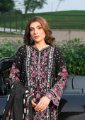 Elaf Premium | Winter Pashmina Shawl Collection | EPW-8B Boundless Dreams - Designer Dress with Intricate embroidery and embellishments. Shop elegent wedding dress at Maria Faisal.