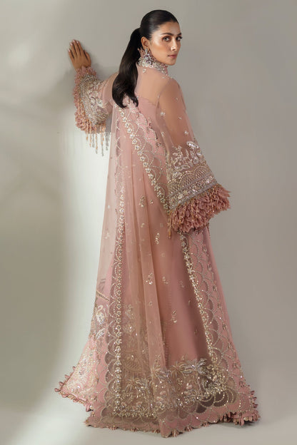 Elan | Wedding Festive 24 | CELESTIAL PETALS (EC24-07) - Ladies Clothes 