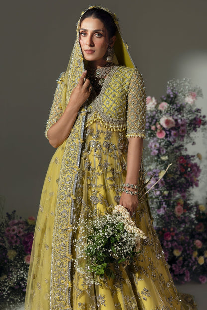 Elan | Wedding Festive 24 | BOTANICAL BLISS (EC24-03) - Ladies Clothes 
