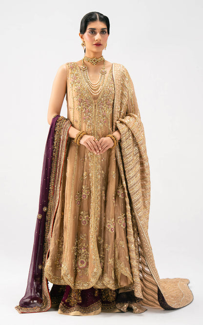 Asifa and Nabeel | Lyle Luxury Formals 25 | Elara Bridal Ensemble - Ladies Clothes - Maria Faisal
