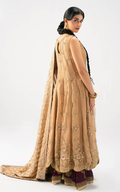 Asifa and Nabeel | Lyle Luxury Formals 25 | Elara Bridal Ensemble - Ladies Clothes - Maria Faisal