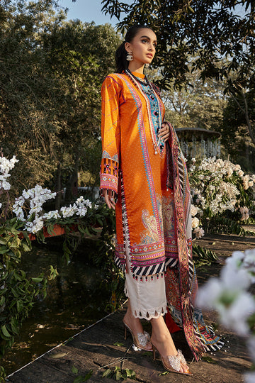 Ellena | Luxury Embroidered Collection | D13 - Waniyas