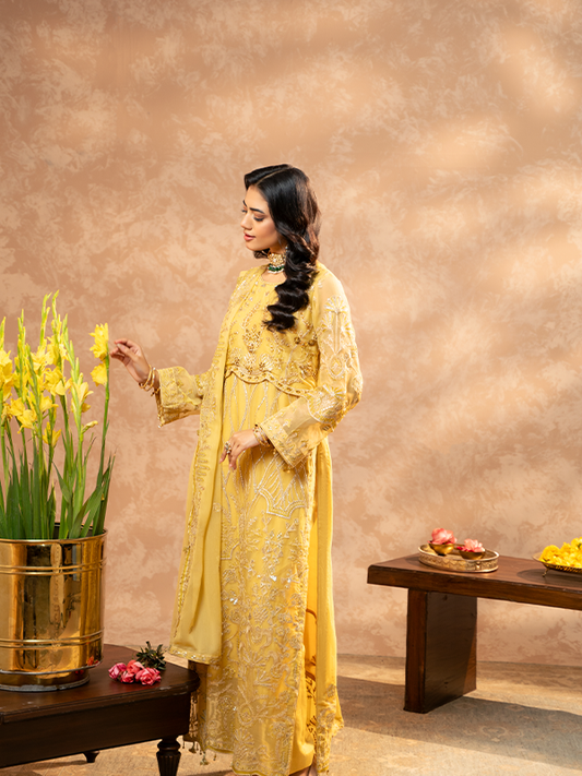Zebtan | Zeenat Festive Collection | ZN-01 - Maria Faisal