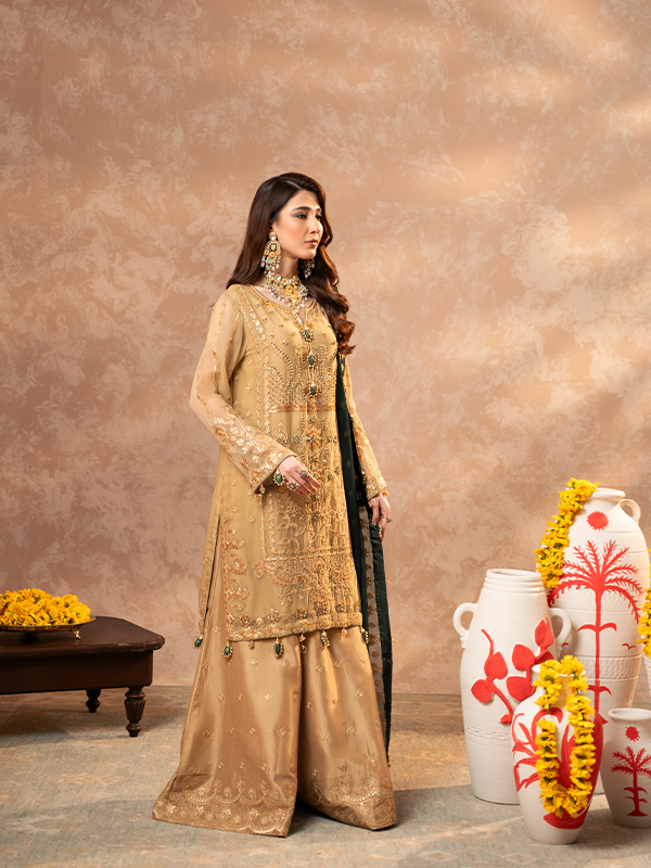 Zebtan | Zeenat Festive Collection | ZN-06 - Maria Faisal