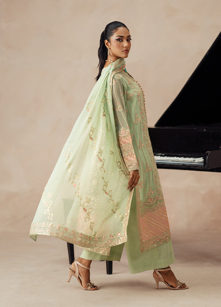 Fressia Premium | Premium Chiffon | FSU5614