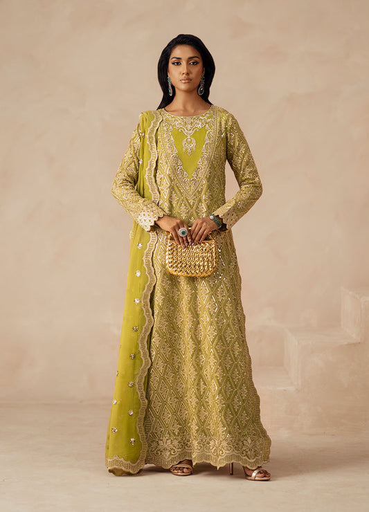 Fressia Premium | Premium Chiffon | FSU5617 - Ladies Clothes - Maria Faisal