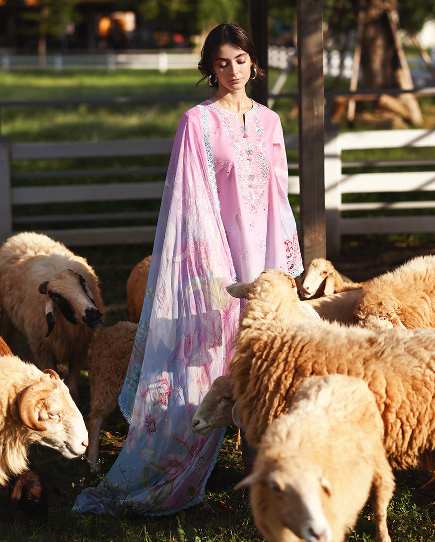 Mushq | Solace Ombre Chikankari | Faint Blossom - Luxury Dress - available at Maria Faisal in UK and USA.