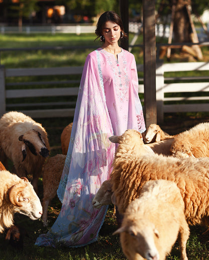 Mushq | Solace Ombre Chikankari | Faint Blossom - Luxury Dress - available at Maria Faisal in UK and USA.