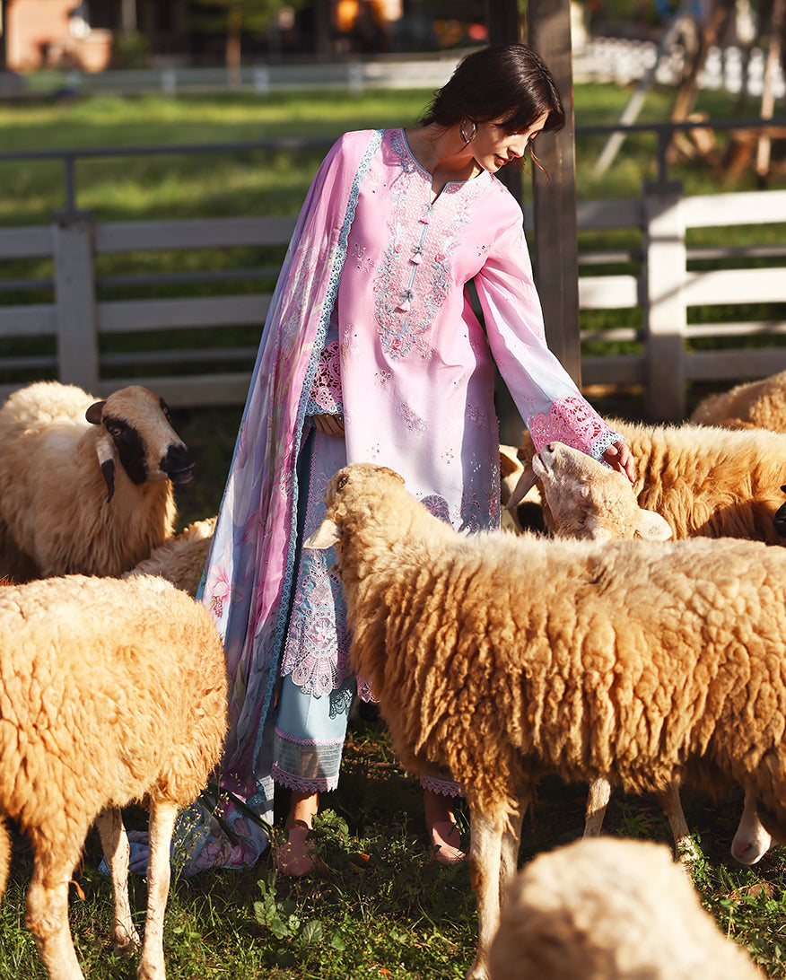 Mushq | Solace Ombre Chikankari | Faint Blossom - Luxury Dress - available at Maria Faisal in UK and USA.