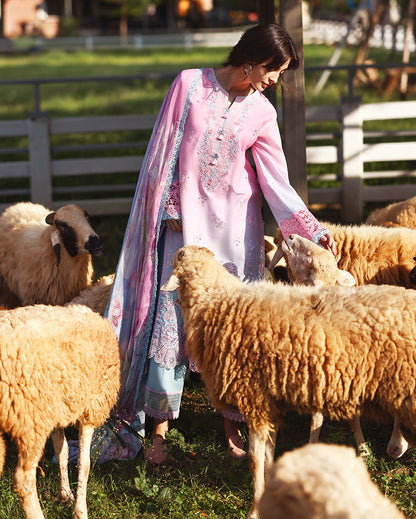 Mushq | Solace Ombre Chikankari | Faint Blossom - Luxury Dress - available at Maria Faisal in UK and USA.