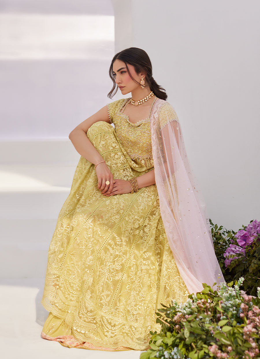 Farah Talib Aziz | Zaza Luxe Pret 24 | REINE KIWI EMBROIDERED EMBELLISHED KALIDAAR - Ladies Clothes - Maria Faisal