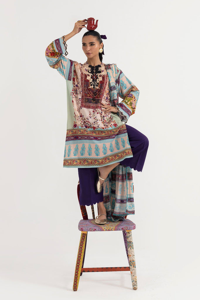 H255-001A-3CY – authentic Pakistani dress from the Mahay Winter 25 collection for women in the UK