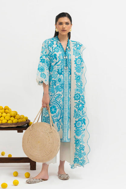 H255-002B-2BQ – authentic Pakistani dress from the Mahay Winter 25 collection for women in the UK