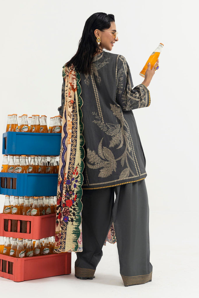 H255-005A-3CQ – authentic Pakistani dress from the Mahay Winter 25 collection for women in the UK