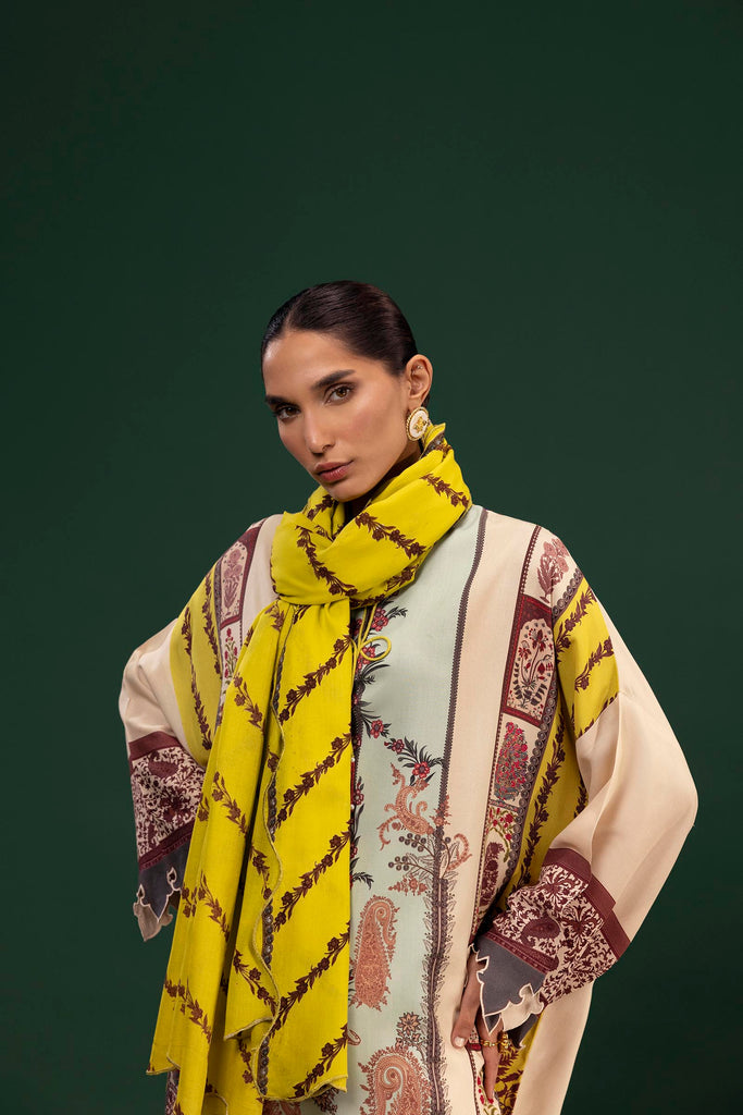 H255-007A-2DA – authentic Pakistani dress from the Mahay Winter 25 collection for women in the UK