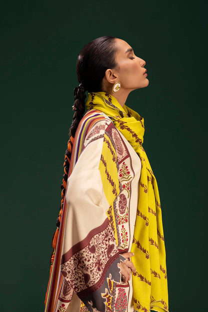 H255-007A-2DA – authentic Pakistani dress from the Mahay Winter 25 collection for women in the UK