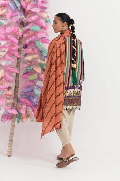 H255-007B-2DA – authentic Pakistani dress from the Mahay Winter 25 collection for women in the UK