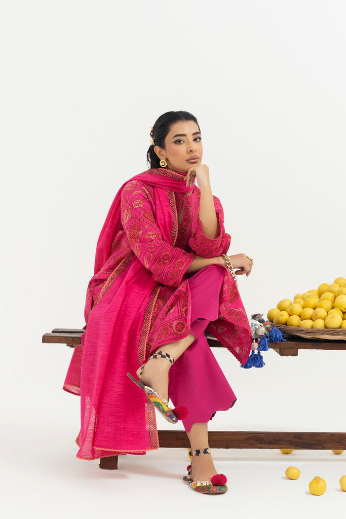 H255-008A-2Q – authentic Pakistani dress from the Mahay Winter 25 collection for women in the UK