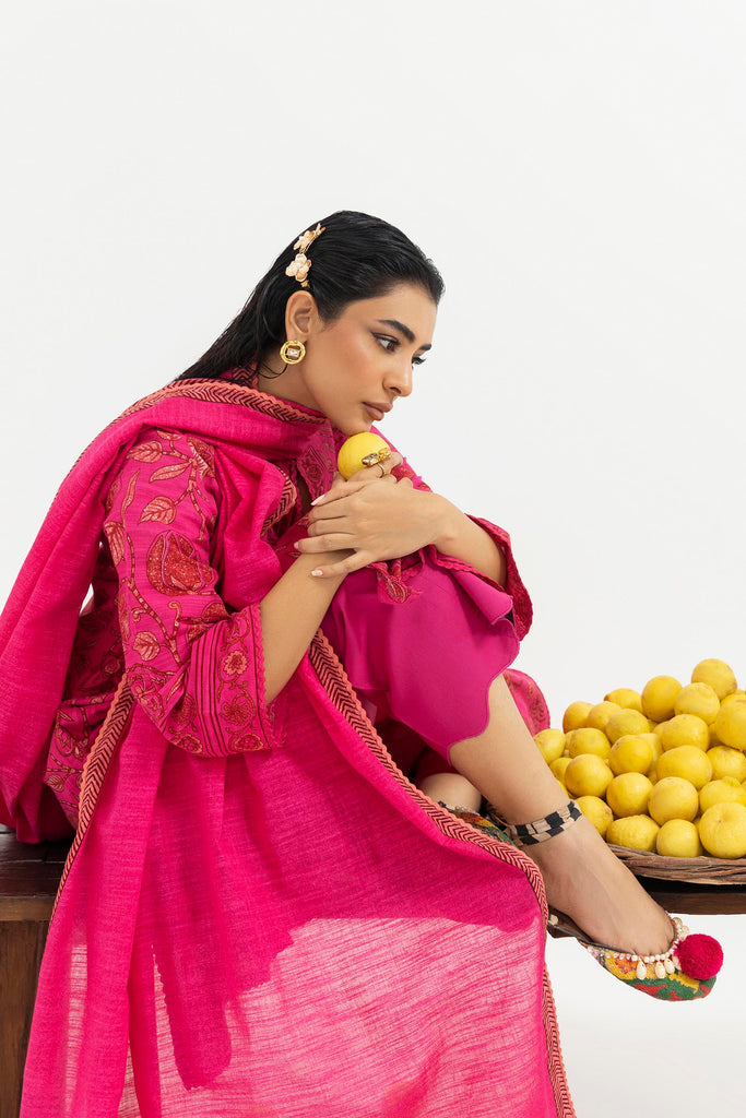 H255-008A-2Q – authentic Pakistani dress from the Mahay Winter 25 collection for women in the UK