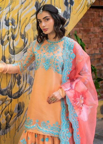 Ali Xeeshan | Chanda Luxury Pret | Qudsia by Maria Faisal - Registered Vendor of : Ali Xeeshan - type : Ladies Clothes - 100% original wedding dresses