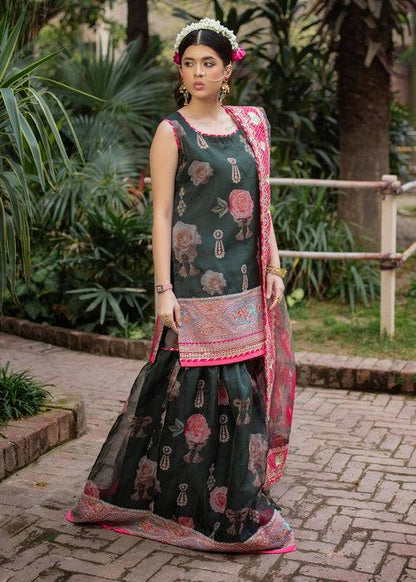 Ali Xeeshan | Chanda Luxury Pret | Green Forest by Maria Faisal - Registered Vendor of : Ali Xeeshan - type : Ladies Clothes - 100% original wedding dresses