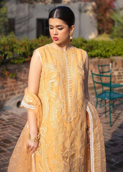 Ali Xeeshan | Chanda Luxury Pret | Inara by Maria Faisal - Registered Vendor of : Ali Xeeshan - type : Ladies Clothes - 100% original wedding dresses