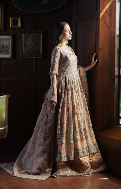 Inayat | Festive Formals |HAZE - Ladies Clothes - Maria Faisal