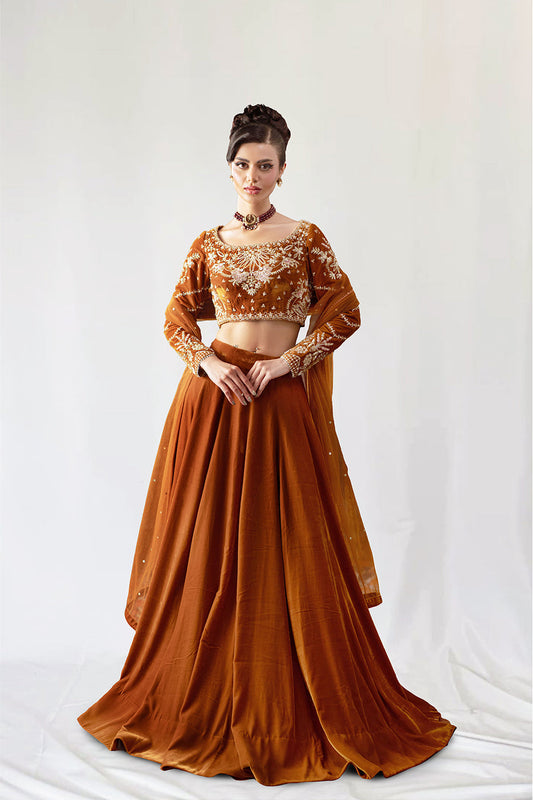 Saira Rizwan | Velvet Pret 25 | AMBERIN-SRVP25-11 - Formal Dress - available at Maria Faisal in UK and USA.