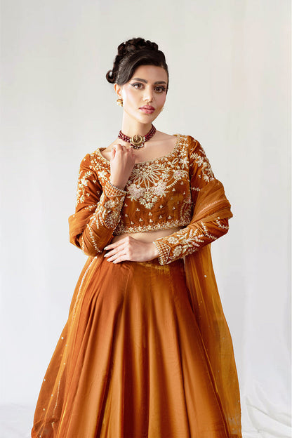 Saira Rizwan | Velvet Pret 25 | AMBERIN-SRVP25-11 - Formal Dress - available at Maria Faisal in UK and USA.